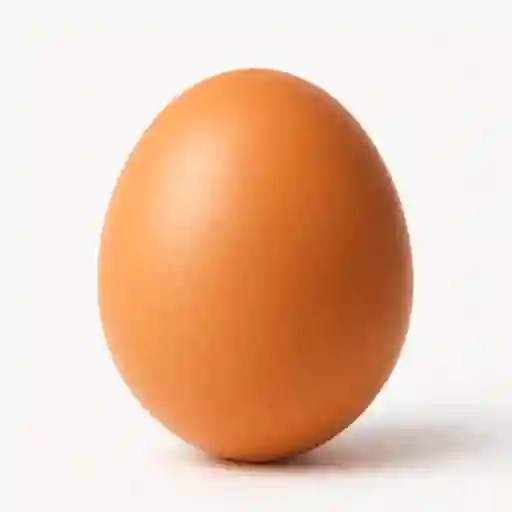 Huevo