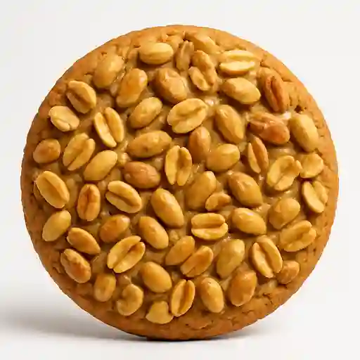 Galleta Grande Frutos Secos