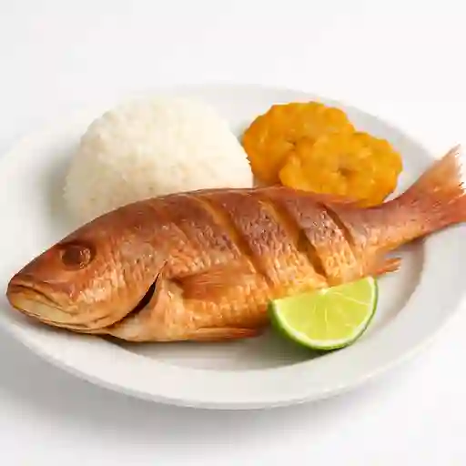 Pargo