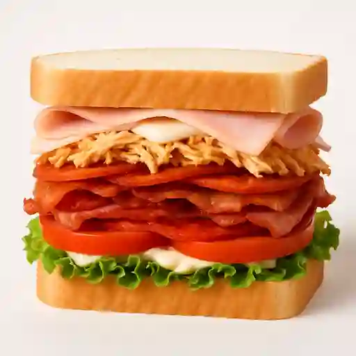 Sándwich Mixto