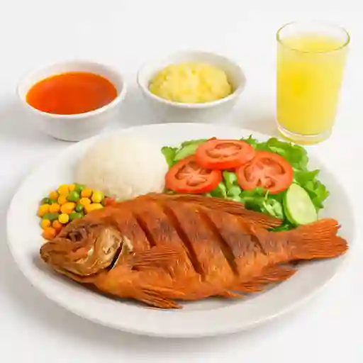 Mojarra Roja 