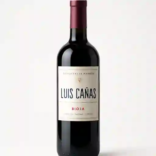 Luis Cañas Seleccion Familia