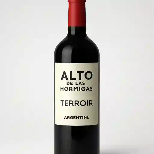 Alto de Las Hormigas Terrior