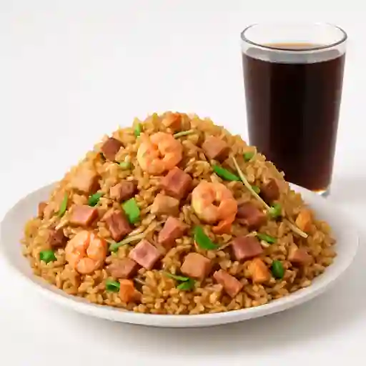 Arroz Frito Especial Familiar