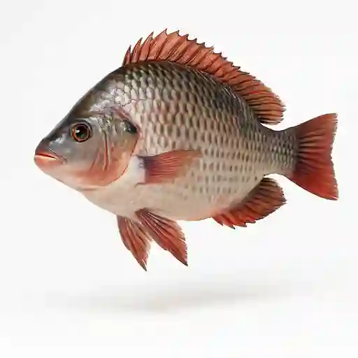 Mojarra 750 gr