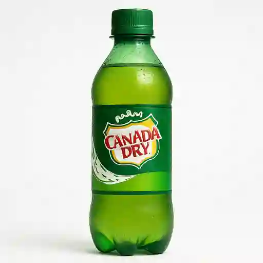 Canada Dry 400