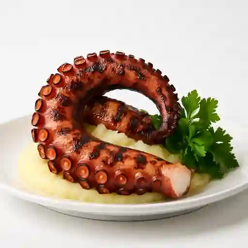 Polpo Alla Griglia