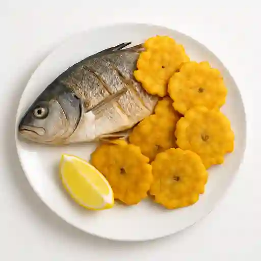 Corvina