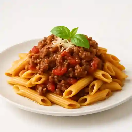 Bolognesa
