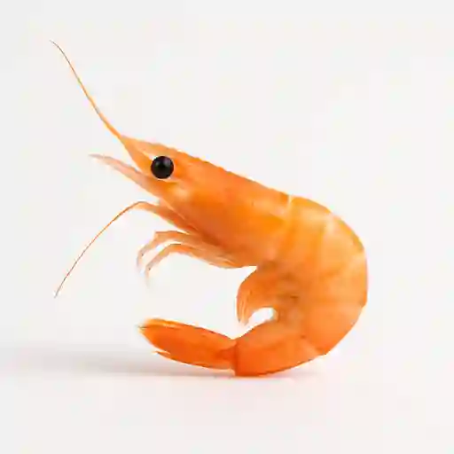 Camarón pequeño