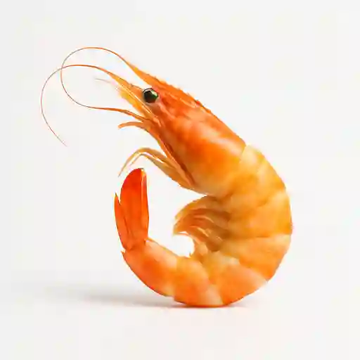 Camarón grande