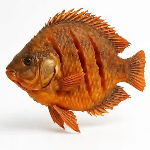 Tilapia frita
