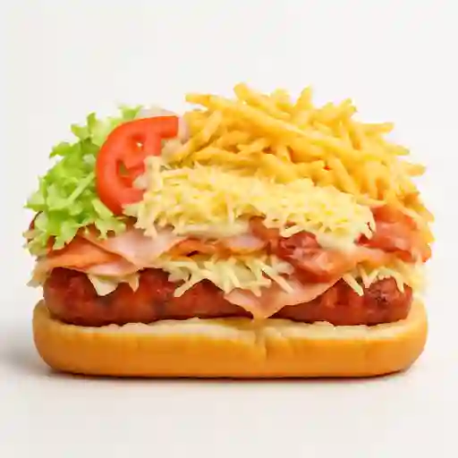 Chori perro