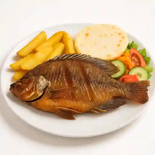 Tilapia Roga 500 gr