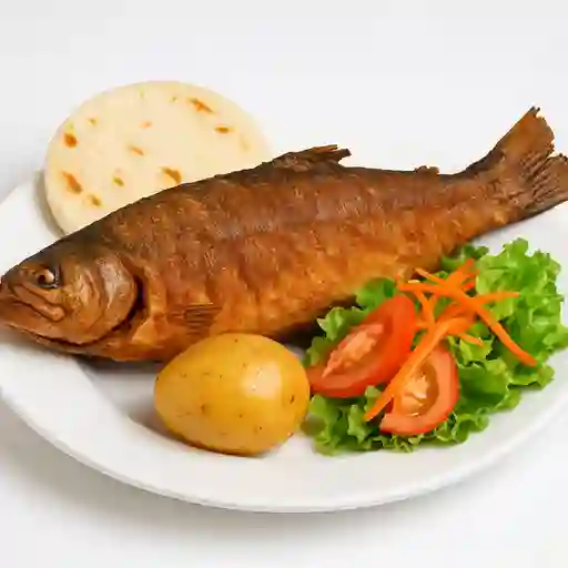 Trucha Entera Frita