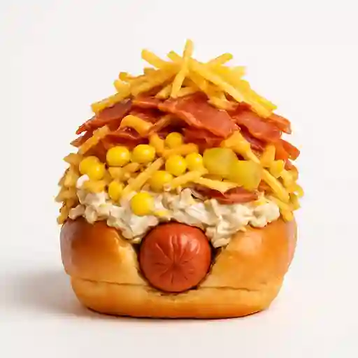 Perro Bull Dog House