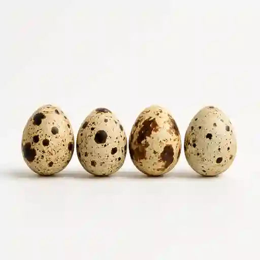 Ad Huevos Codorniz X 4 Uni