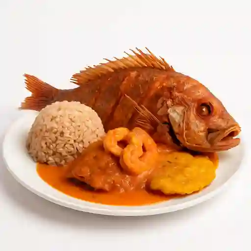 Pargo Ladrilleros