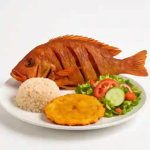 MOJARRA ROJA