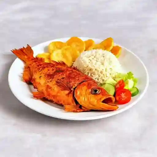 Mojarra Roja
