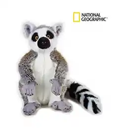 National Geographic Lemur Tarsero