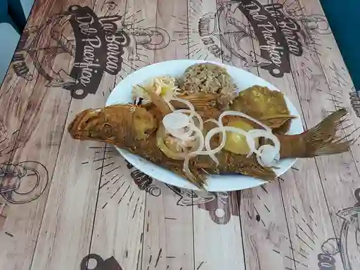 Róbalo Frito O en Salsa de la Casa