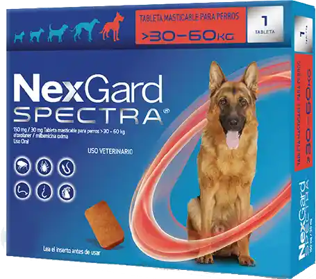 NEXGARD SPECTRA XL 1 CHEWAB X 10 (30-60kg)