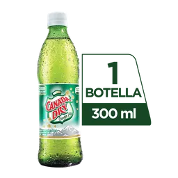 Canada Dry Ginger Ale 300 ml 
