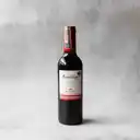 Vino Tinto 1/2 Botella - Amoretinto