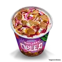 Mcflurry Oblea