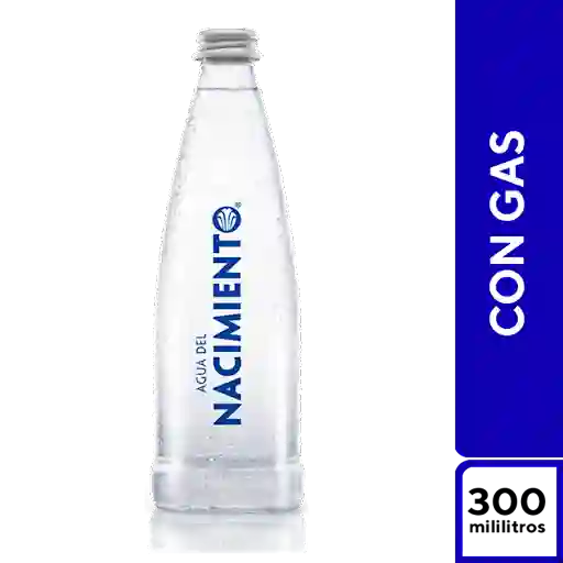 Agua Con Gas 300 Ml