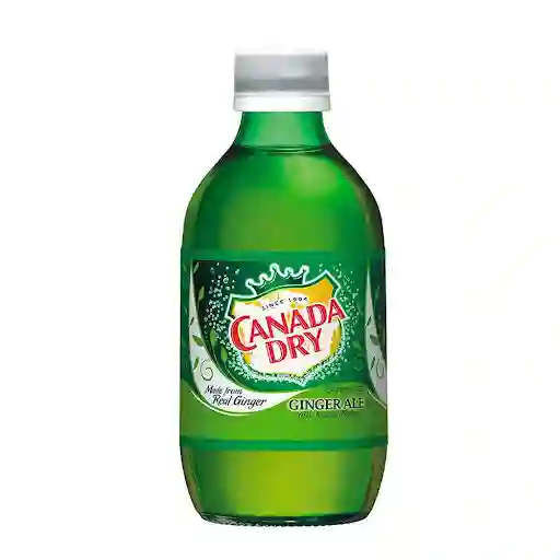 Ginger Canada Dry 10 Oz