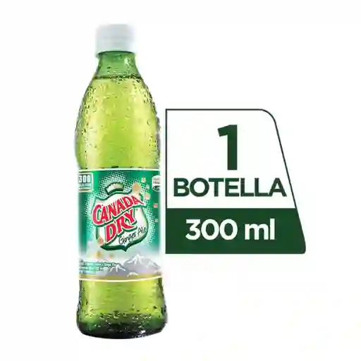 Canada Dry Ginger Ale 300 Ml