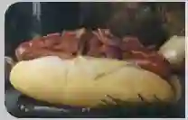 Glorioso