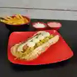 Perro Criollo
