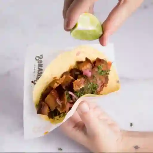 Taco Sinaloa