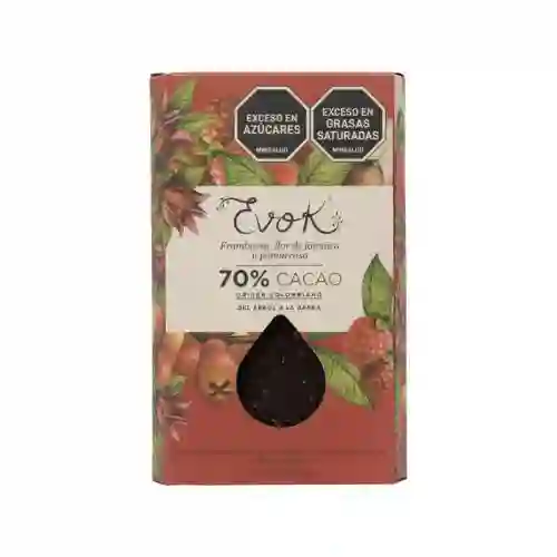 Choc Barra 70% Pomar,flor J,framb 100g