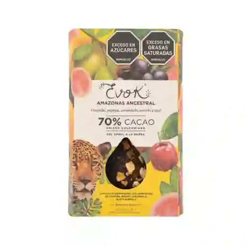 Choc Barra B 70% Amazonia 90g