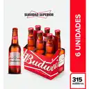 Six Pack Budweiser