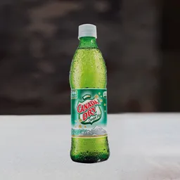 Canada Dry Ginger Ale 330 Ml