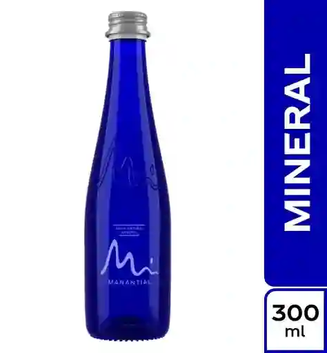 Agua Mineral 300 Ml