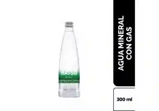 Agua Gas 300ml