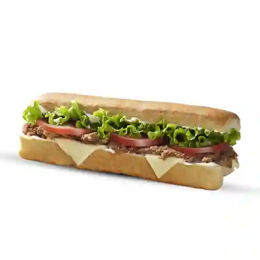 Sándwich De Carne Desmechada Turbo