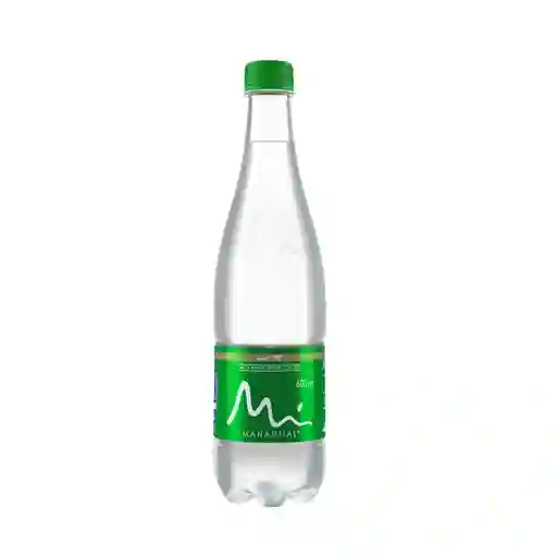 Agua Con Gas 300 Ml