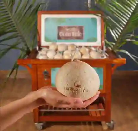 Coco Frio