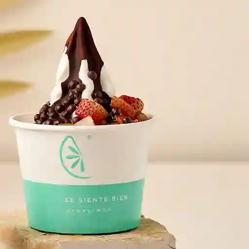 Sugerido Yogurt Helado