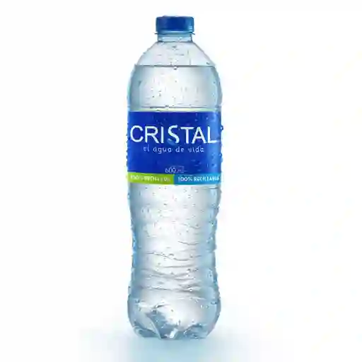 Botella De Agua 600ml