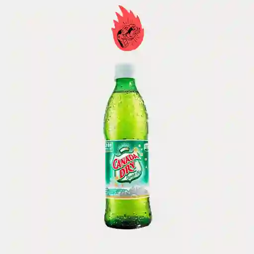 Canada Dry
