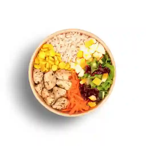 Pollo Saludable