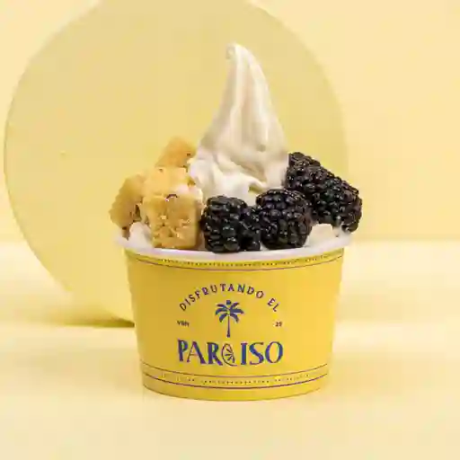 Helado Maracuyá Sin Azúcar